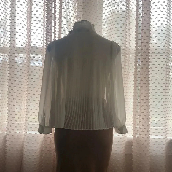 Banana Republic Chiffon Pleated Blouse - Picture 6 of 13